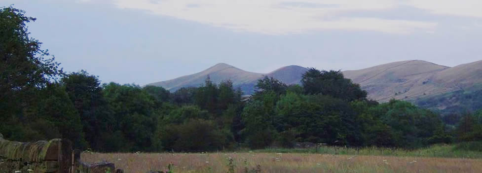 Nearby Woods and Hills Nearby Woods and Hills