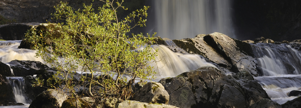 A Waterfall A Waterfall