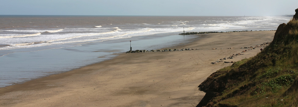 The Beach The Beach