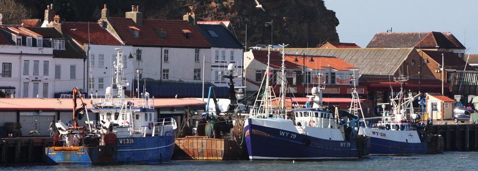 Whitby Abbey Whitby Abbey