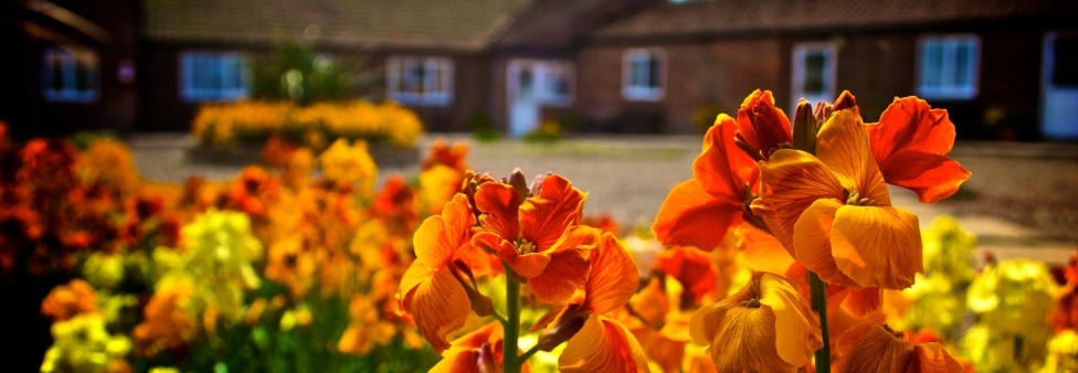 Grange Farm Cottages - Bridlington
