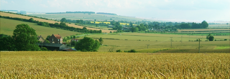 Driffield Driffield