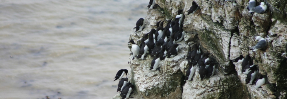 Flamborough Flamborough