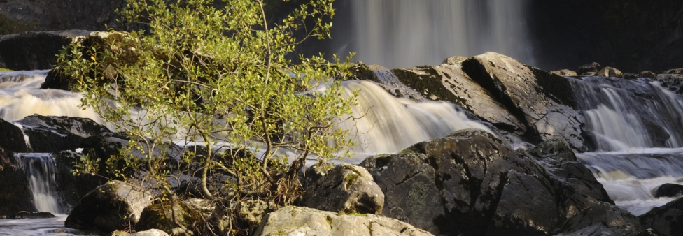 Ingleton Waterfall 