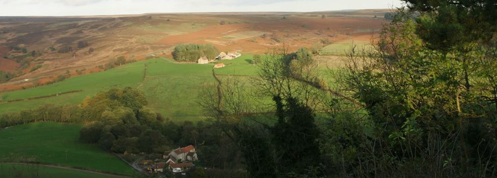 Local Farmland Local Farmland