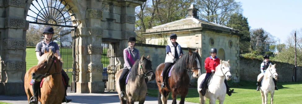 Masham Riding & Trekking Centre
