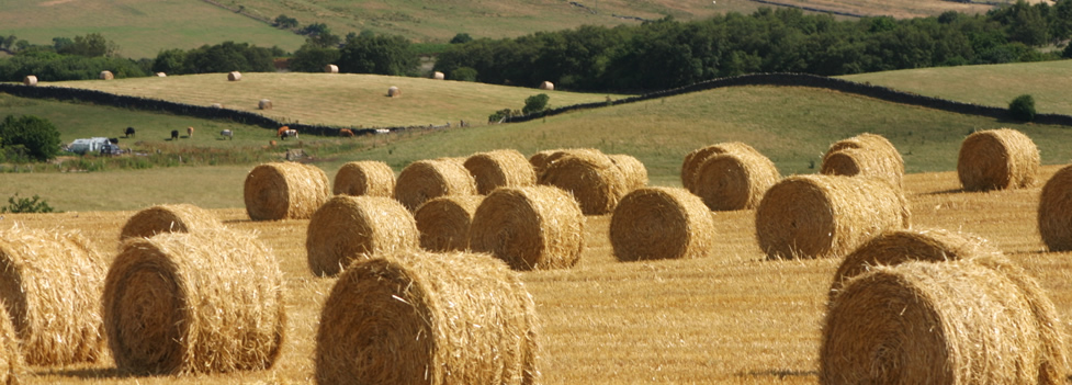 Hay Bales Hay Bales