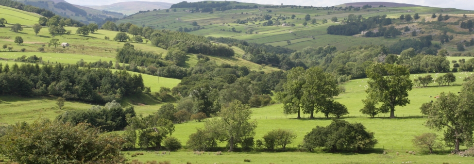 Richmond countryside