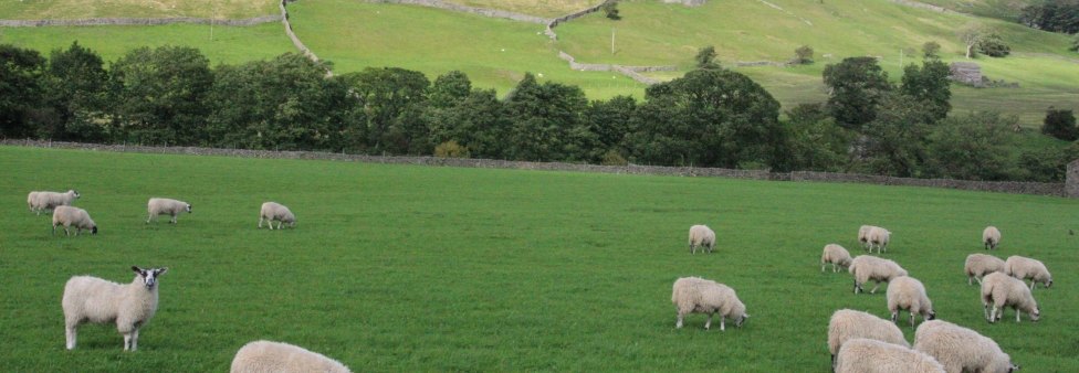 Richmond countryside