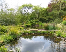 Wraycroft Cottages - Dragonflies, newts and frogs abound. Wraycroft Cottages - Dragonflies, newts and frogs abound.