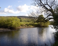 Wraycroft Cottages - River clean enough to swim! Wraycroft Cottages - River clean enough to swim!
