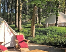Catgill Glamping - Bell tents
