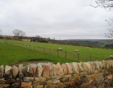 Daisy Holiday Cottage - Sleeps 4 Daisy Holiday Cottage - Sleeps 4
