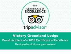 TripAdvisor Certificate of Excellence  TripAdvisor Certificate of Excellence