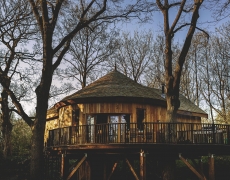 Cran Larach Treehouse @ Markington Hall