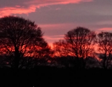 Masham - Old Station Holiday Cottages