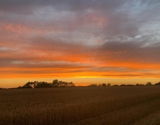 Sawdon, Beadlam and Ebberston Cottages. Sawdon, Beadlam and Ebberston Cottages.
