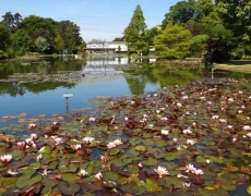 Yorkshire Holidays Yorkshire Holidays