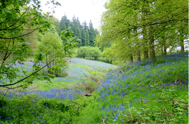 Castle Howard - Grange Farm Castle Howard - Grange Farm