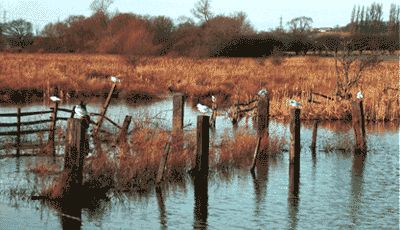 Yorkshire Holidays Yorkshire Holidays