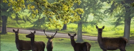 Yorkshire Holidays Yorkshire Holidays