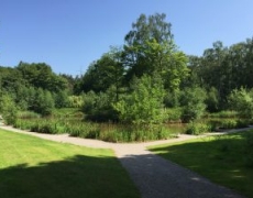 Hollicarrs Holiday Park