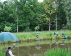 Hollicarrs Holiday Park