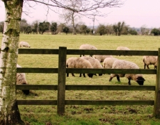 Yorkshire Holidays Yorkshire Holidays