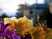 Yorkshire Holidays Yorkshire Holidays