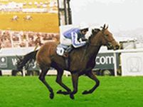 Yorkshire Holidays Yorkshire Holidays