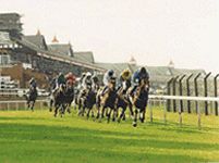 Yorkshire Holidays Yorkshire Holidays