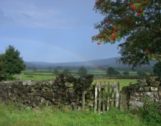 Red House Farm Red House Farm