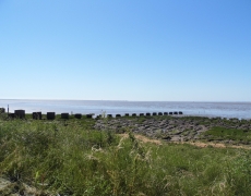 The Cottage @ North Humberside Riding Centre - South Holderness