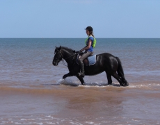 The Cottage @ The Riding Centre 