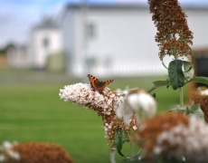 Yorkshire Holidays Yorkshire Holidays